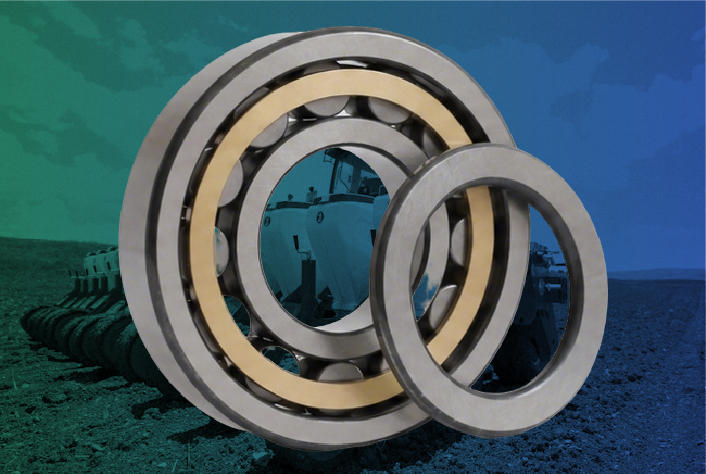 Cylindrical Roller Bearing
